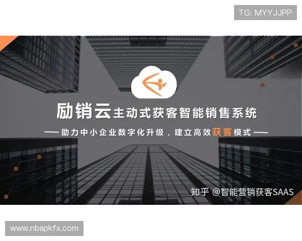 云开官网入口登录流程详解，助力新用户快速掌握登录步骤与注意事项