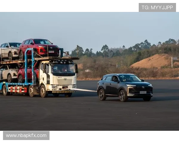 蓝鲸体育直播为体育赛事注入新活力推动全民体育热情持续升温